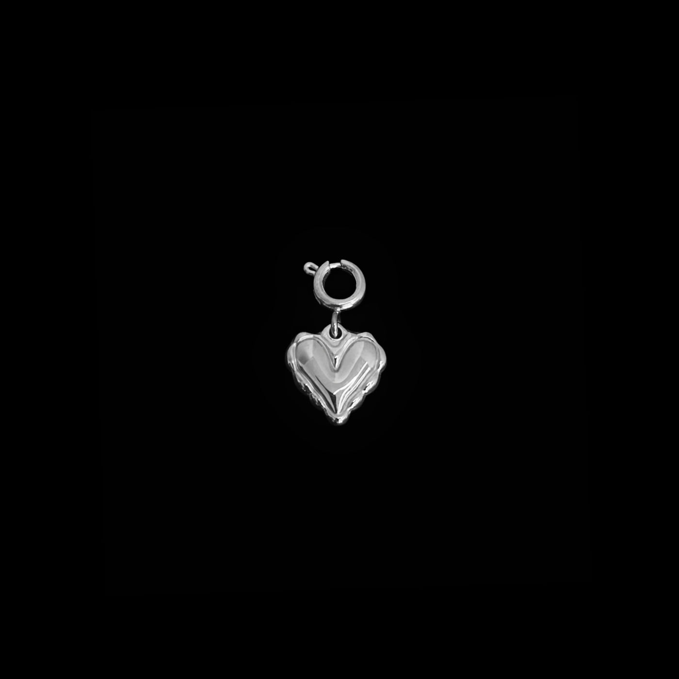 Silver Charmz – fainz® Shop