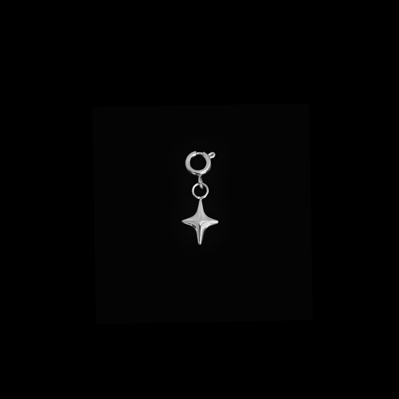 Silver Charmz – fainz® Shop